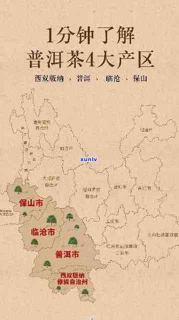 普洱茶山报告：探索云南茶叶产地的文化、历、生态及品鉴指南