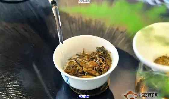 普洱茶饮用度：科学解析与品饮技巧