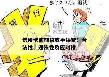 信用卡逾期还款利息收费：合法性与争议