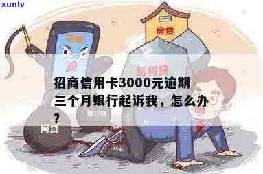 招商信用卡3000元逾期怎么办-招商信用卡3000元逾期怎么办啊