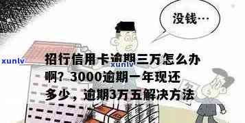 招商信用卡3000元逾期怎么办-招商信用卡3000元逾期怎么办啊