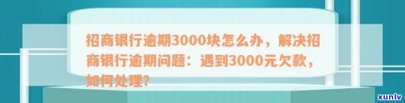 新 招商信用卡逾期3000元后果详解，如何避免信用损失