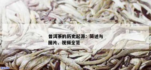 普洱茶的全：从起源到现代的各种录片介绍