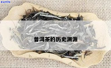 普洱茶的起源录片