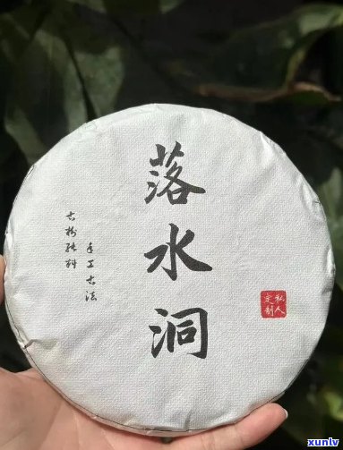 落水洞普洱茶的评语