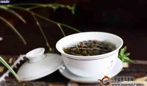 普洱茶的甜与哪些因素相关：探究普洱茶中的甜度成分及其影响因素