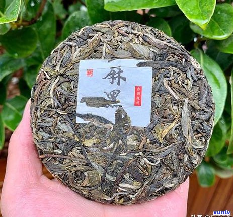 普洱茶甜感物质解析：探究普洱茶中的甜味来源