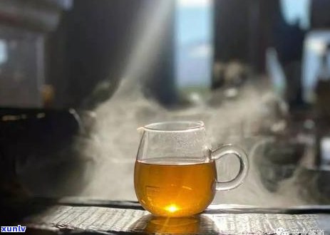 普洱茶甜感物质解析：探究普洱茶中的甜味来源