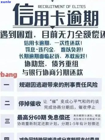 新信用卡逾期止损全面攻略：如何应对、解决方案和预防措一文搞定