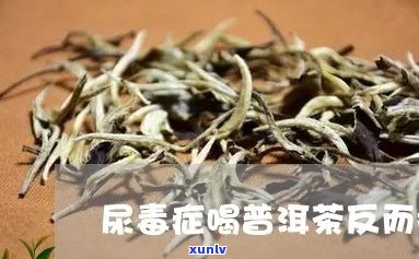 尿病患者喝普洱茶的禁忌与注意事项