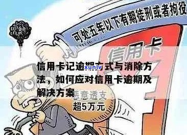 信用卡逾期新规全面解析：如何应对逾期问题，改善信用记录？