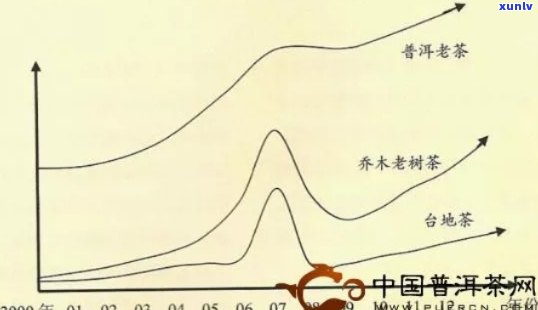 新探究永明地韵普洱茶的价格波动与品质关系