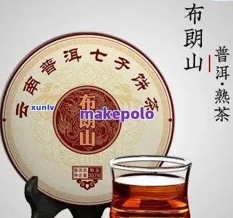 永明地韵普洱茶价格