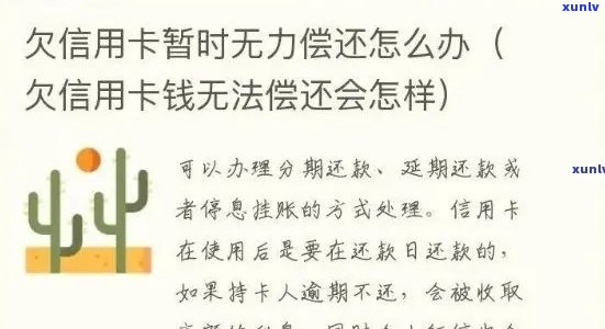 信用卡逾期的救赎：如何处理因他人欠款而导致的信用卡债务问题