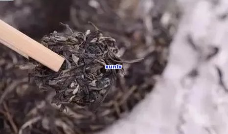 普洱茶里的毛怎么飘起来：探究普洱茶里的毛絮状物质