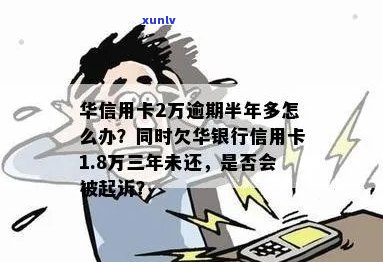 华银行信用卡逾期两万三，半年未还款，是否会面临法律惩罚？