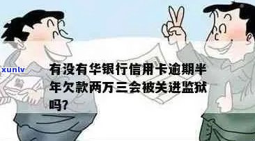 华银行信用卡逾期两万三，半年未还款，是否会面临法律惩罚？