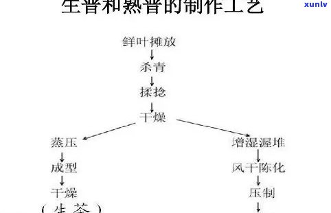 普洱茶发花工艺专利详细解析：涉及技术原理、应用范围及创新点全面探讨