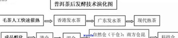 普洱茶发花工艺专利详细解析：涉及技术原理、应用范围及创新点全面探讨