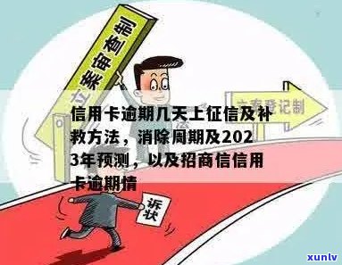 2023年信用卡逾期记录消除时间及影响分析