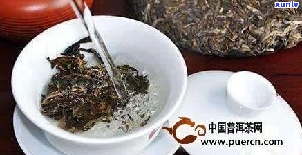 普洱茶叶的特点和功效