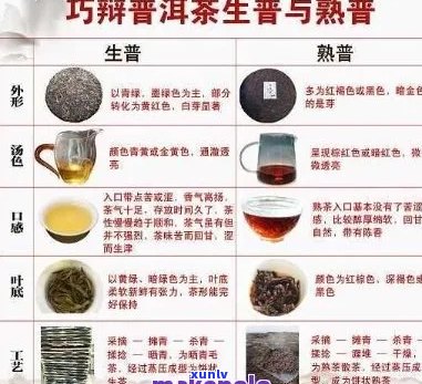 普洱茶搭配指南：如何选择合适的配料以提升口感与风味