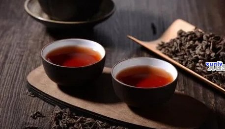 普洱茶搭配指南：如何选择合适的配料以提升口感与风味