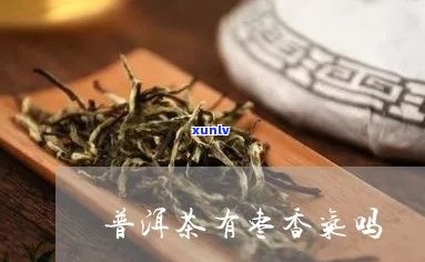 普洱茶里面有枣香吗能喝吗-普洱茶里面有枣香吗能喝吗有吗