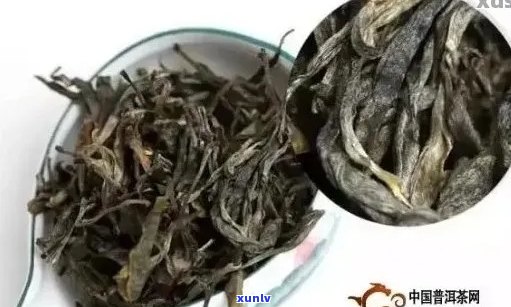 如何识别真假普洱茶？购买普洱茶时需要注意的事项