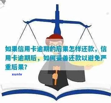 信用卡逾期还款后如何消除记录：全面指南与解决方案