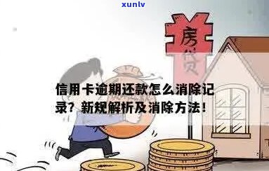 信用卡逾期还款后如何消除记录：全面指南与解决方案