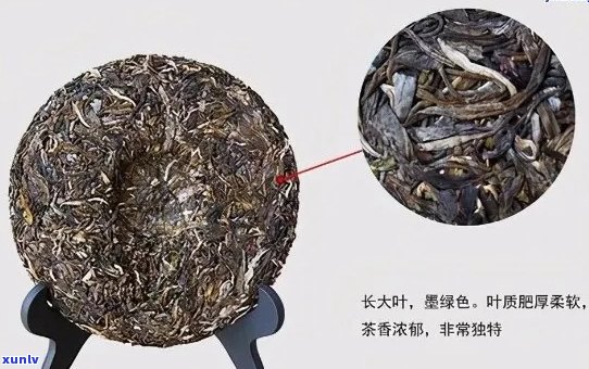 假的普洱茶有副作用吗-假的普洱茶有副作用吗知乎