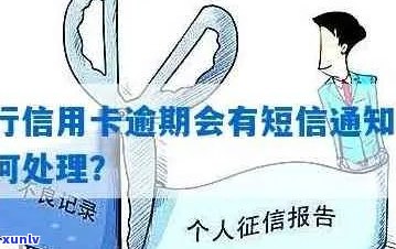 使用建行信用卡后几天就产生逾期，原因何在？