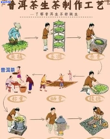 普洱茶的 *** 流程详解：五个步骤、时间与工艺，助你轻松掌握！