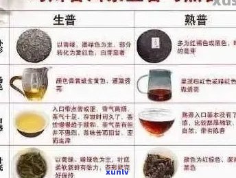 全方位解析浓香型普洱茶：产地、 *** 工艺、口感、品鉴 *** 及适合搭配的美食