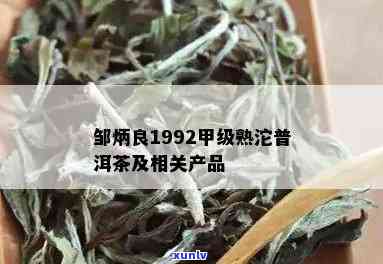 炳良1992甲级熟沱普洱茶：品茗体验与鉴指南