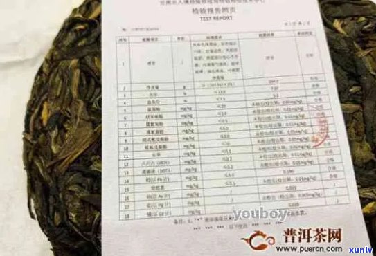 普洱茶生产厂家代号查询官网大全系统