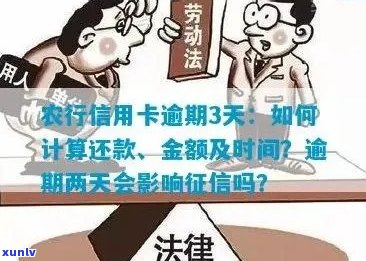 农行信用卡逾期呆帐：还款、贷款及新法规详解