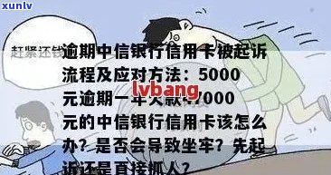 全方位解析信用卡逾期无讼案例：解决用户信用卡逾期问题的最新研究与指南