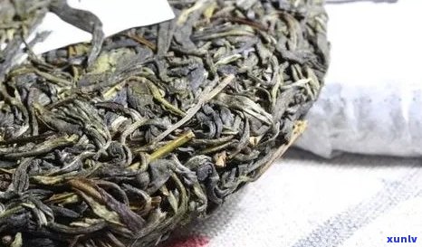 广云贡品：普洱茶中的奇葩，揭秘其独特品种与魅力所在