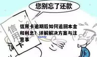 信用卡逾期后如何归还本金并避免影响信用？解答用户常见问题