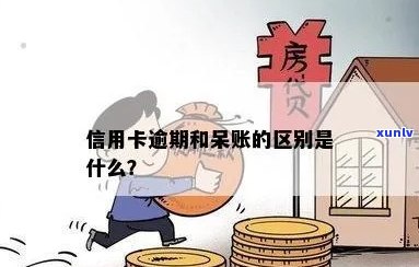 信用卡逾期坏账和呆账的区别：如何区分与处理？