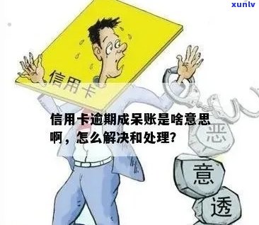 信用卡逾期与呆账：哪个更具风险性？