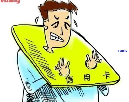 信用卡逾期与呆账：哪个更具风险性？