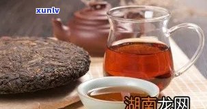 泡老普洱茶用什么水