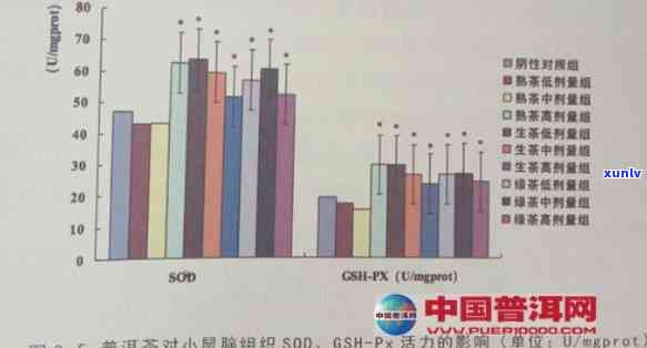 探讨普洱茶中抗缺氧内生菌的种类及其对人体健的益处