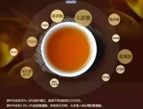 '普洱茶抗缺氧内生菌吗：有效与安全的疑问解答'