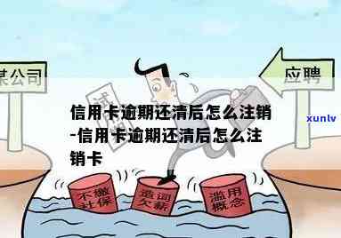 逾期还清信用卡后，如何正确注销以避免后续问题？了解详细流程及注意事项