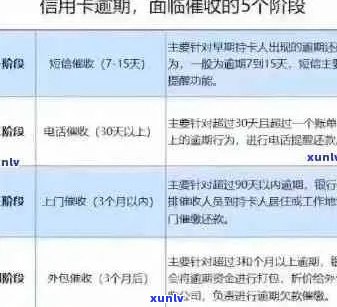 10次以上信用卡违约：影响、解决方案与信用修复策略