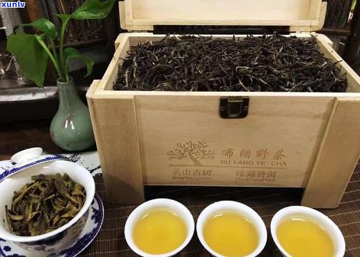 云南普洱茶叶专营店：古树茶、生茶、熟茶、礼品盒、收藏级茶叶